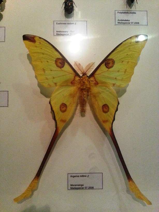 Lebih cantik dari sepatu Louboutin #Jika_Alam_Sudah_Harmonis