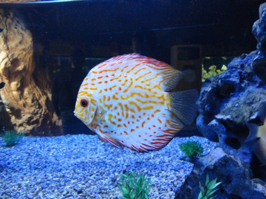 ???????????????????????????????