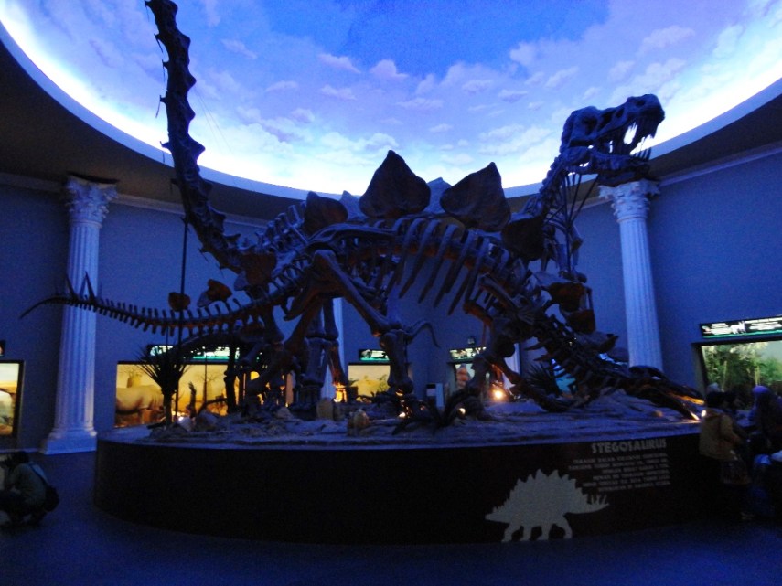 Tyranosaurus dan Stegosaurus. Silahkan membayangkan segede apa mereka pas hidup.