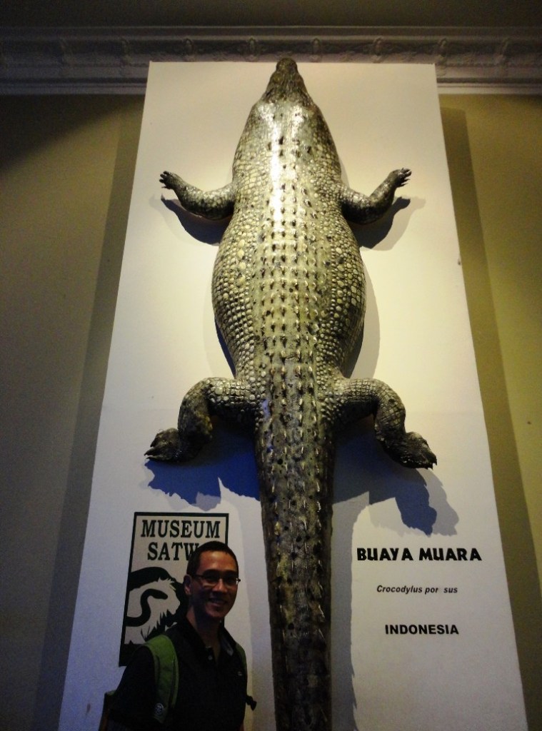 Buaya muara dan buaya darat #eh