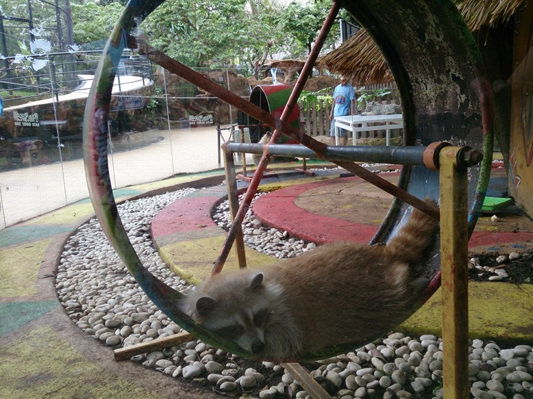 Mumpung gak dliat PT (Personal Trainer), gw tiduran aja deh