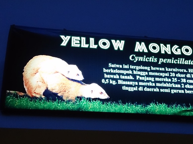 Pose yang menarik. Lagi ngapain ya mereka?