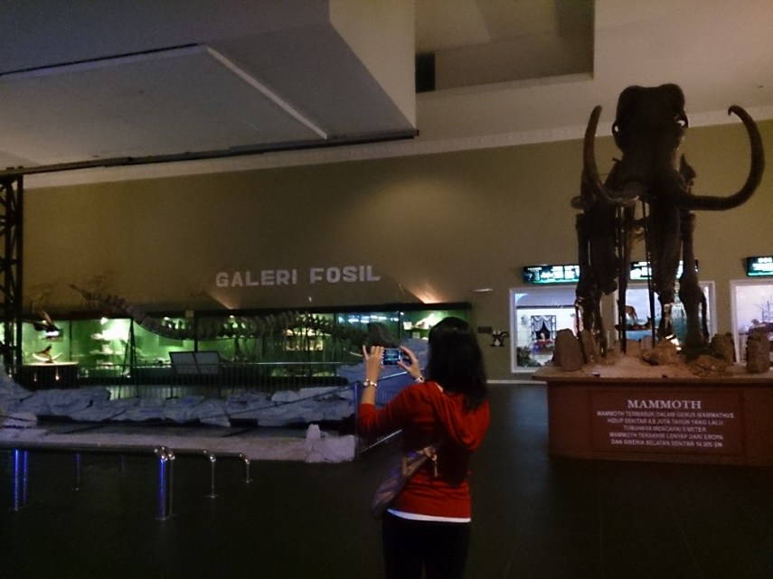 Sebuah pojok Museum Satwa