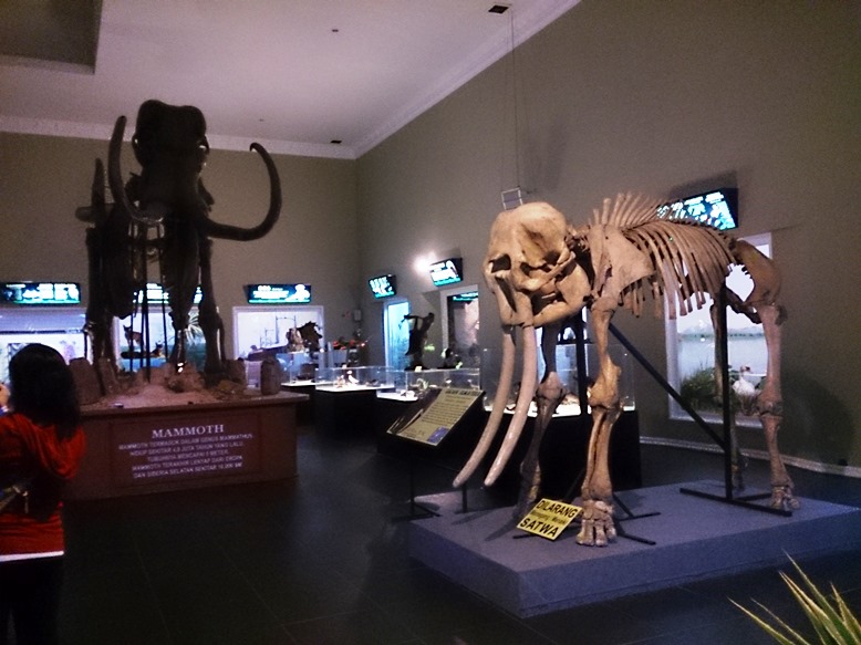 Banyak kerangka binatang besar di sini