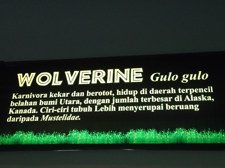 Penampilan boleh sangar, tapi nama asli Wolverine ternyata cupu...hahahaha