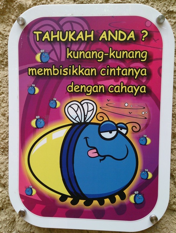 Makanya kalau dugem, bawa senter, terus sorotin ke cewek yang kamu taksir