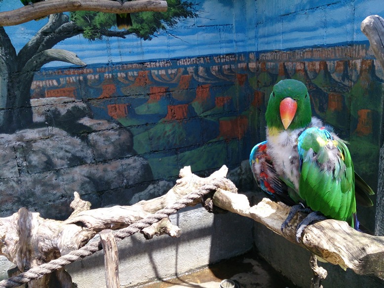 Biarpun cantik, doi tidak dikejar Fathanah...