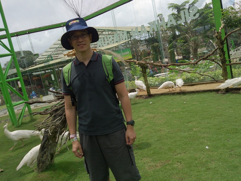 Di dalam area merak putih