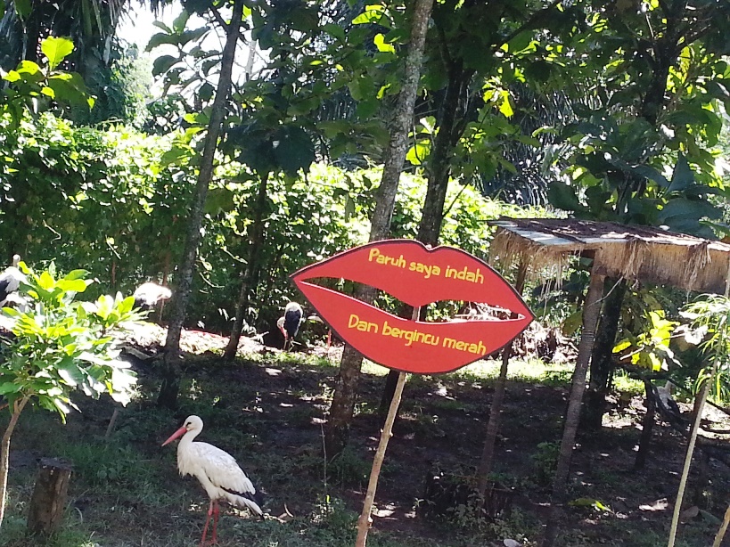 Satu lagi "apa sih?" moment