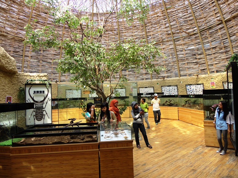 Tempat pameran serangga