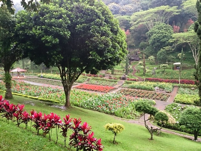 Pemandangan yang cocok untuk perdebatan "Kalau aku rokok, kamu asbaknya ya yang?"